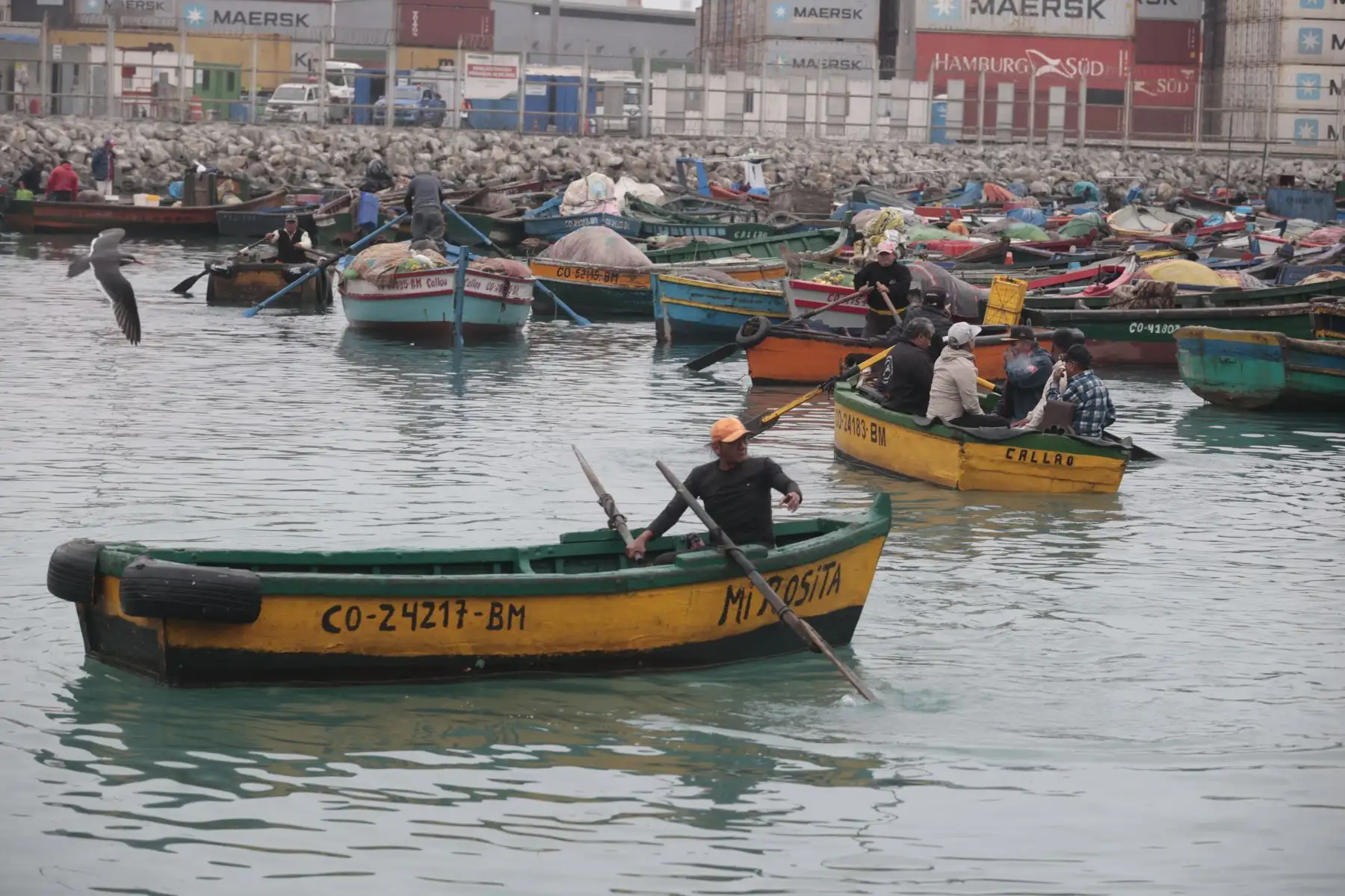 Así luce el muelle de pescadores del Callao, tras la cancelación de la alerta de tsunami en Perú. Foto: ANDINA/Vidal Tarqui