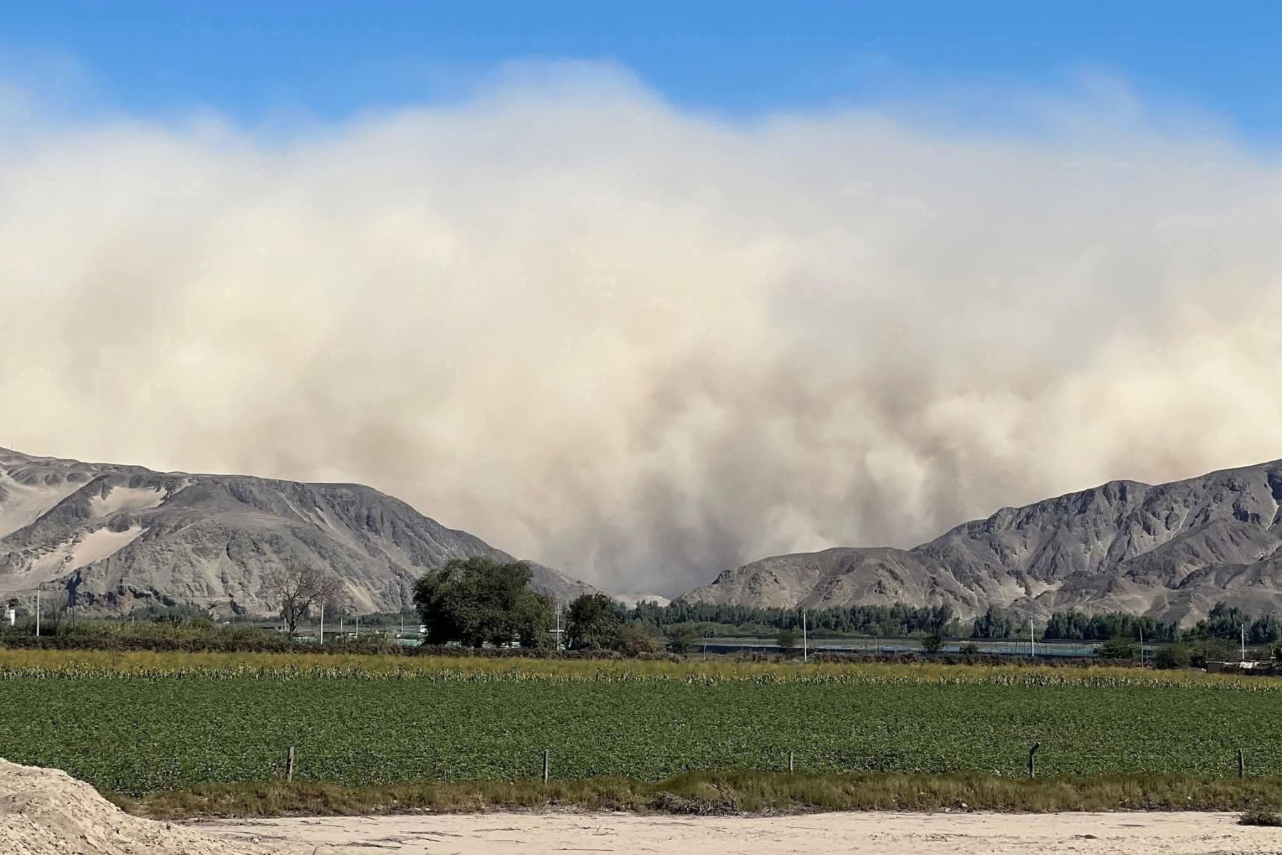 La provincia de Ica experimentó hoy un significativo incremento en la velocidad del viento, con ráfagas que alcanzaron valores cercanos a los 44 km/h, de acuerdo con el aviso emitido por el Servicio Nacional de Meteorología e Hidrología (Senamhi).