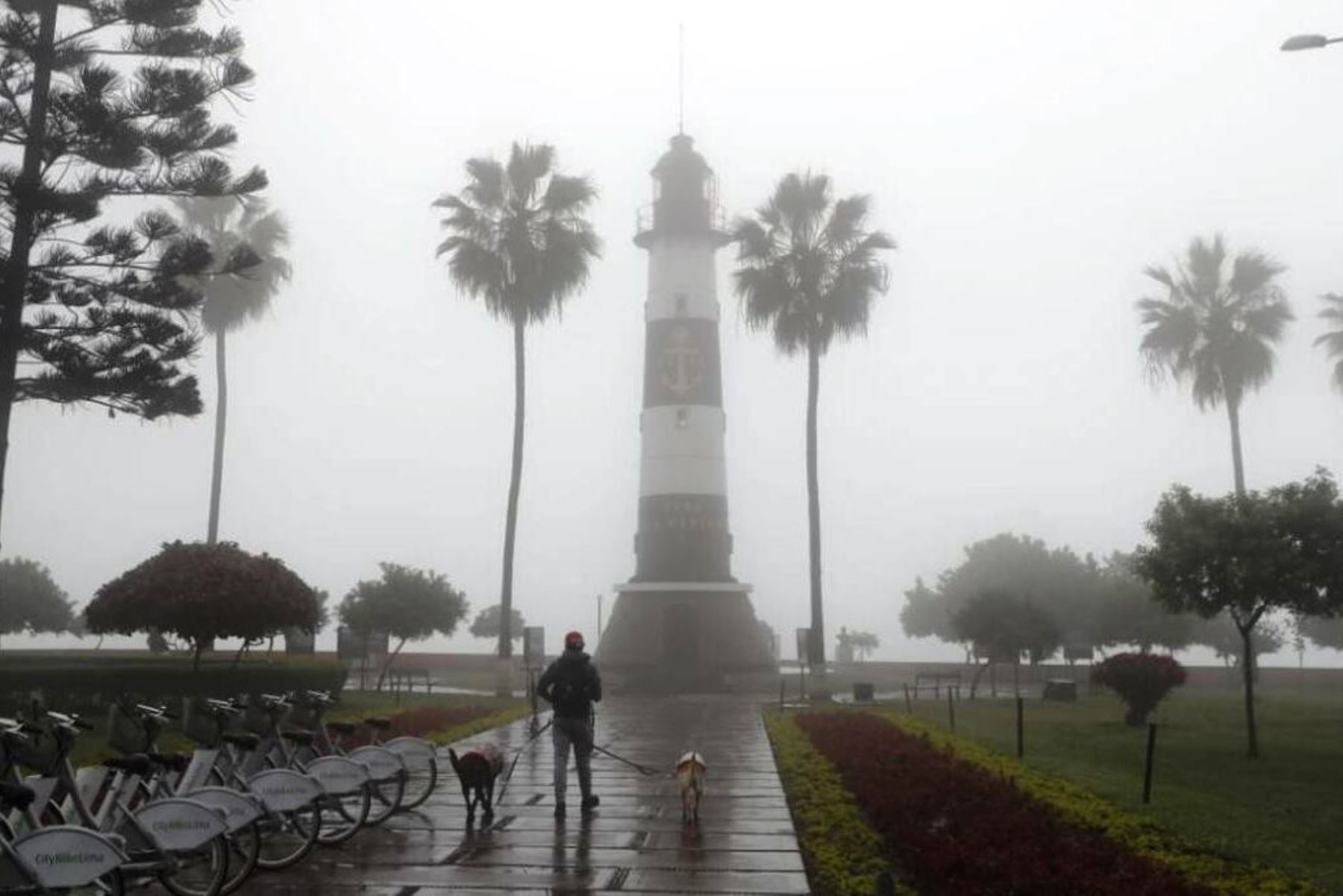 Senamhi: vientos de hasta 34 km/h afectarán costas de Lima hasta el domingo 3 de agosto. Foto: ANDINA/Difusión.