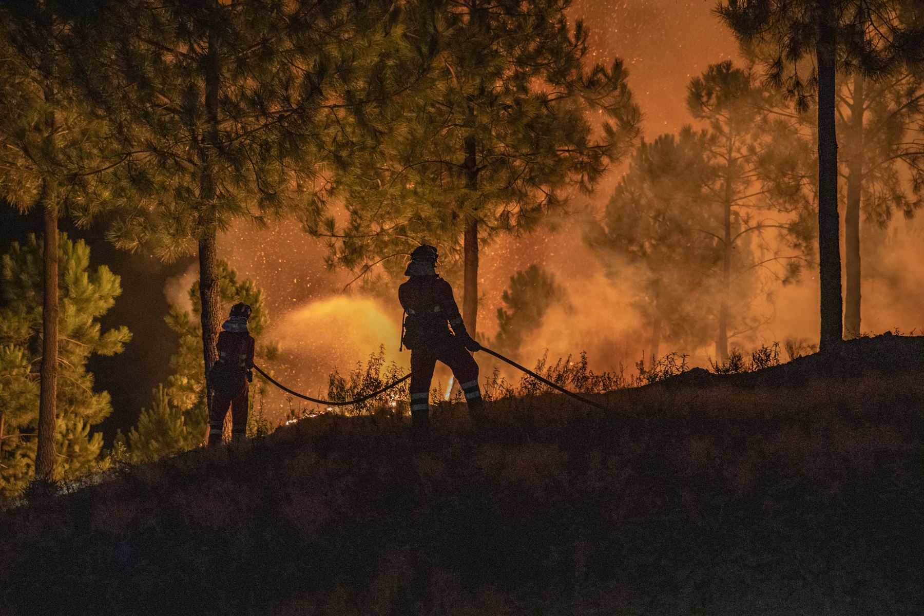 Los bomberos combaten un incendio forestal por tierra y aire en la provincia de Ávila y en la región de Extremadura. Foto: AFP