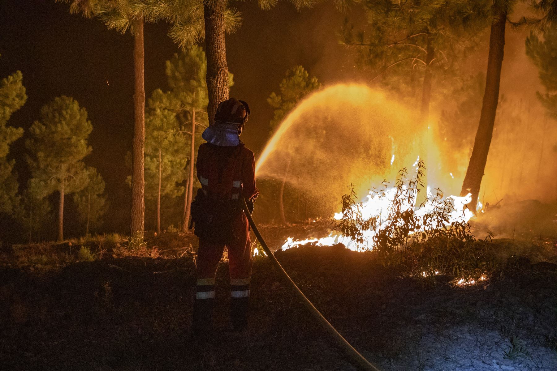 El incendio, que ya ha quemado 500 hectáreas de vegetación, se encuentra actualmente fuera de control debido a los fuertes vientos, según las autoridades. AFP