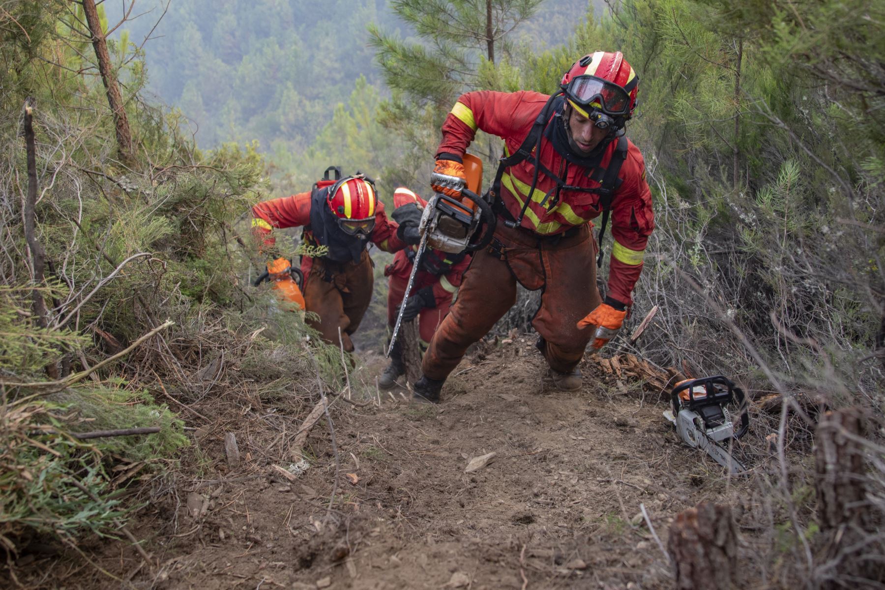 Muestra a bomberos usando sierras mientras luchan contra un incendio forestal cerca de Caminomorisco, en la provincia occidental española de Cáceres. AFP