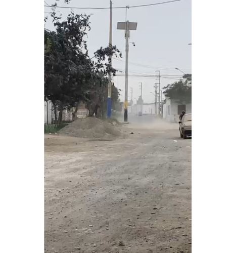 Fuertes vientos sacuden árboles y calaminas en diferentes localidades .