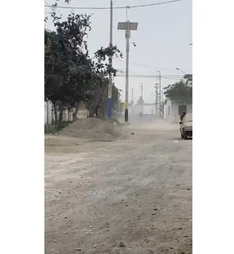 Fuertes vientos sacuden árboles y calaminas en diferentes localidades .