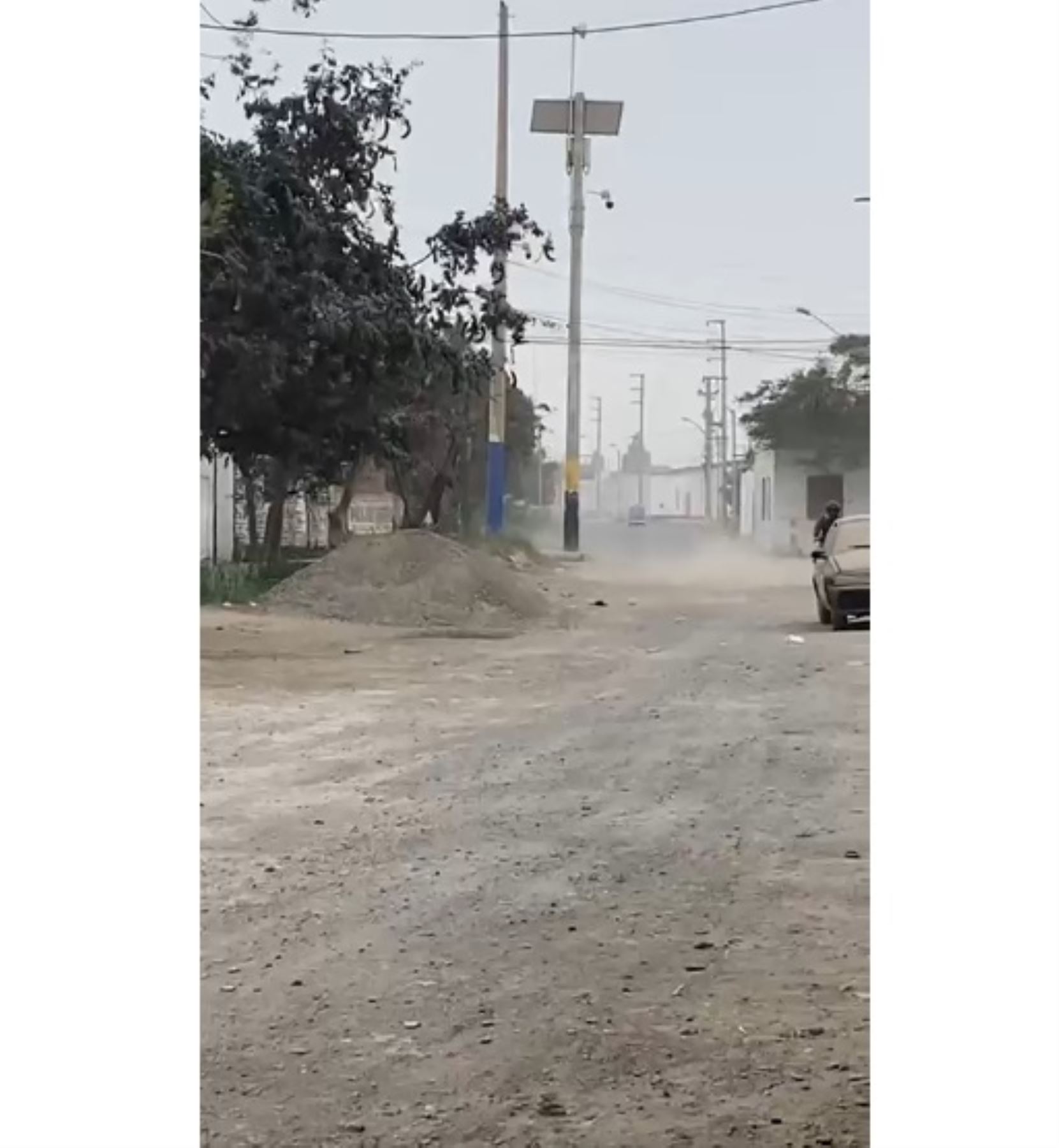 Fuertes vientos sacuden árboles y calaminas en diferentes localidades .