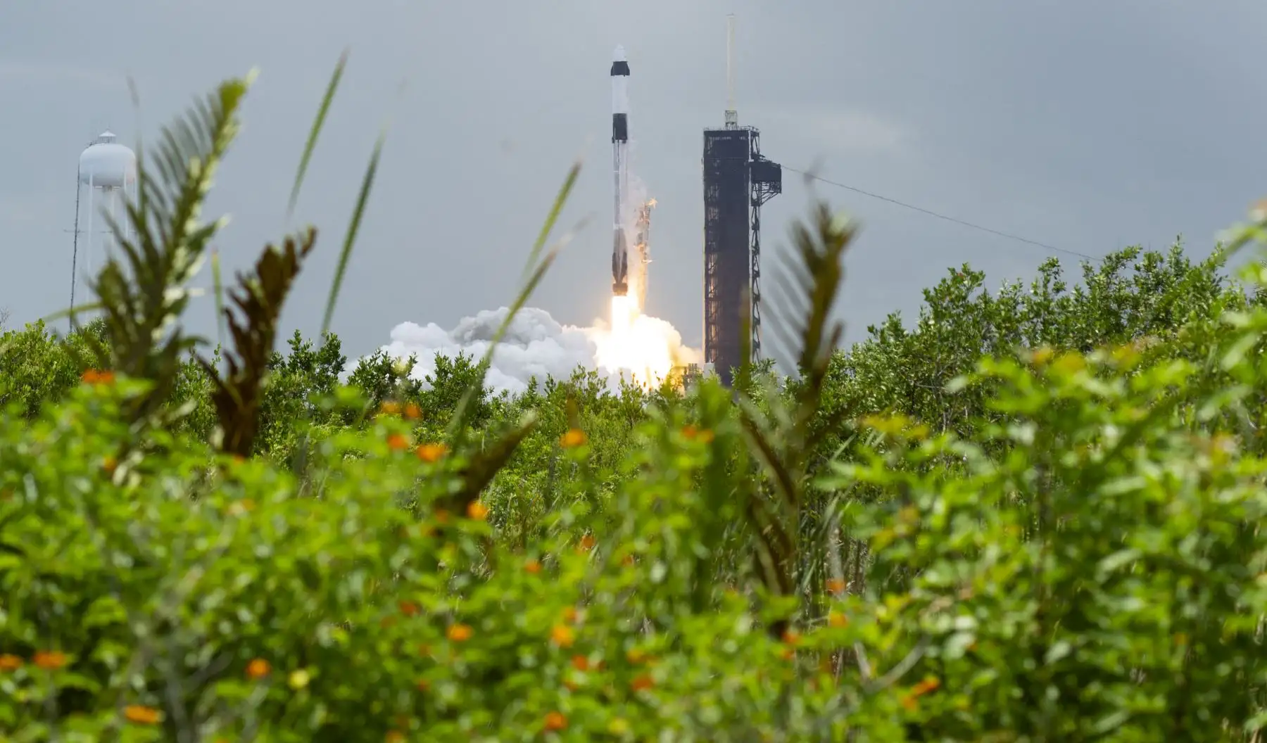 Un cohete SpaceX Falcon 9 con la cápsula Crew Dragon Endeavour que transporta la misión Crew-11 despega del Complejo de Lanzamiento 39A en el Centro Espacial Kennedy de la NASA en Florida. AFP