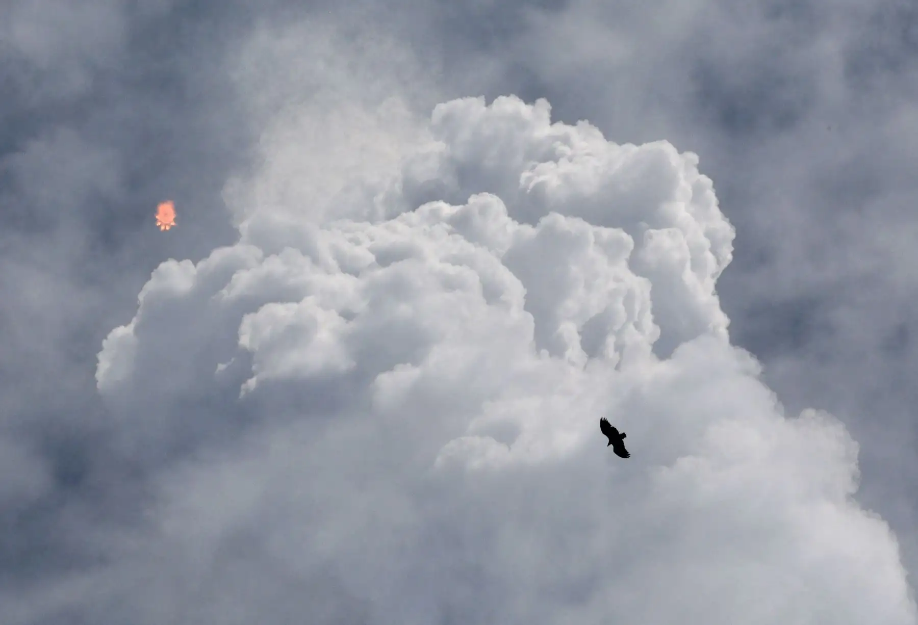 Un cohete Falcon 9 de SpaceX con los astronautas de la tripulación 11 a bordo se eleva a la órbita, dejando una gran estela de condensación entre las nubes, tras despegar de la plataforma de lanzamiento LC-39A en el Centro Espacial Kennedy en Cabo Cañaveral, Florida. AFP