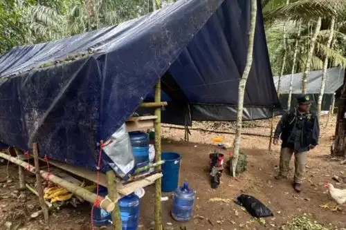 Foto: ANDINA/difusión.