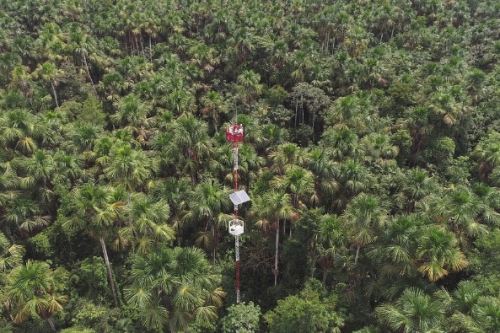 Un estudio internacional muestra que, a diferencia del metano, el óxido nitroso se incrementa en suelos con humedad intermedia, debido a la descomposición de materia orgánica rica en nitrógeno. Foto: IIAP