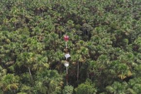 Un estudio internacional muestra que, a diferencia del metano, el óxido nitroso se incrementa en suelos con humedad intermedia, debido a la descomposición de materia orgánica rica en nitrógeno. Foto: IIAP