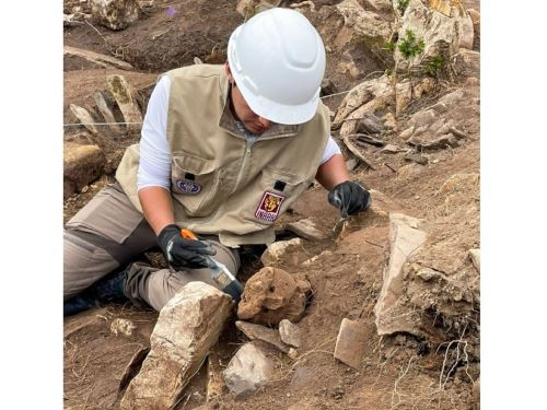 Arqueólogos peruanos descubren cabezas clavas y 200 estructuras en sitio arqueológico Ollape, situado en la provincia de Chachapoyas, región Amazonas.