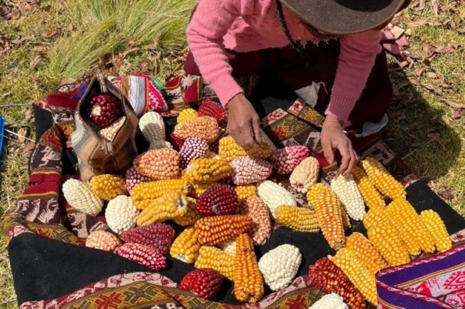 El festival fue organizado por la Red de Jóvenes por la Agrobiodiversidad de Lares. Foto: Minam