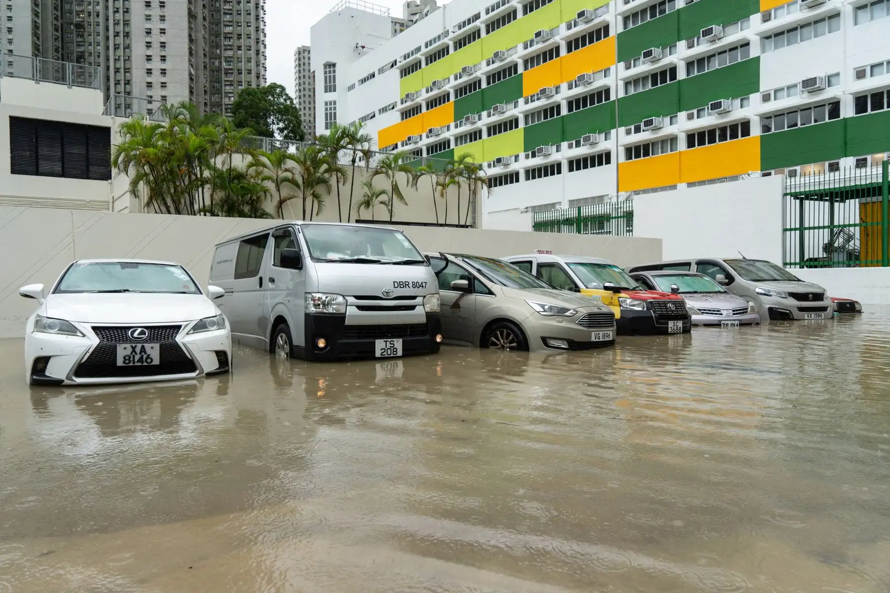 Se observan vehículos sumergidos en las aguas de un aparcamiento al aire libre en Tseung Kwan O, Hong Kong. Partes de Hong Kong quedaron paralizadas por las inundaciones causadas por las fuertes lluvias.
Foto: AFP