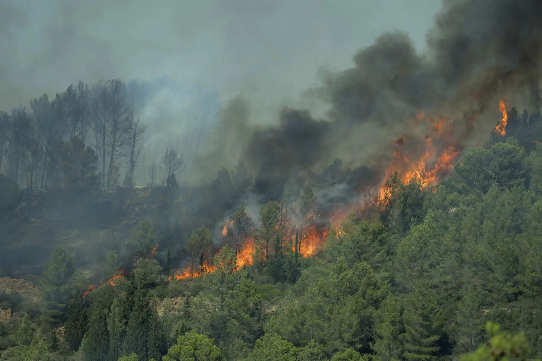 Columnas de humo tras un incendio forestal en Lagrasse, en el suroeste de Francia. Foto: AFP