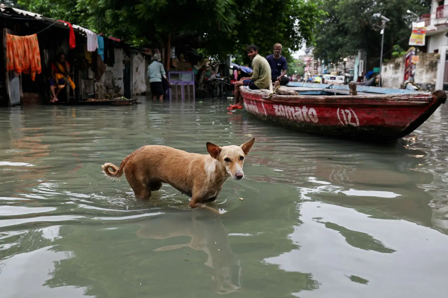 Un perro camina por una calle inundada después de que las fuertes lluvias monzónicas provocaron un aumento en el nivel del agua del río Ganges en Varanasi. AFP
