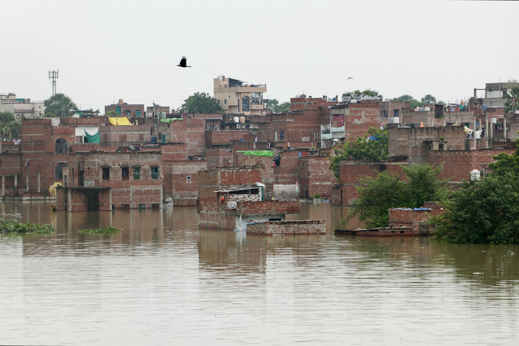 Las casas están sumergidas bajo las aguas de las inundaciones después de que las fuertes lluvias monzónicas provocaron un aumento en el nivel del agua del río Varuna en Varanasi. AFP