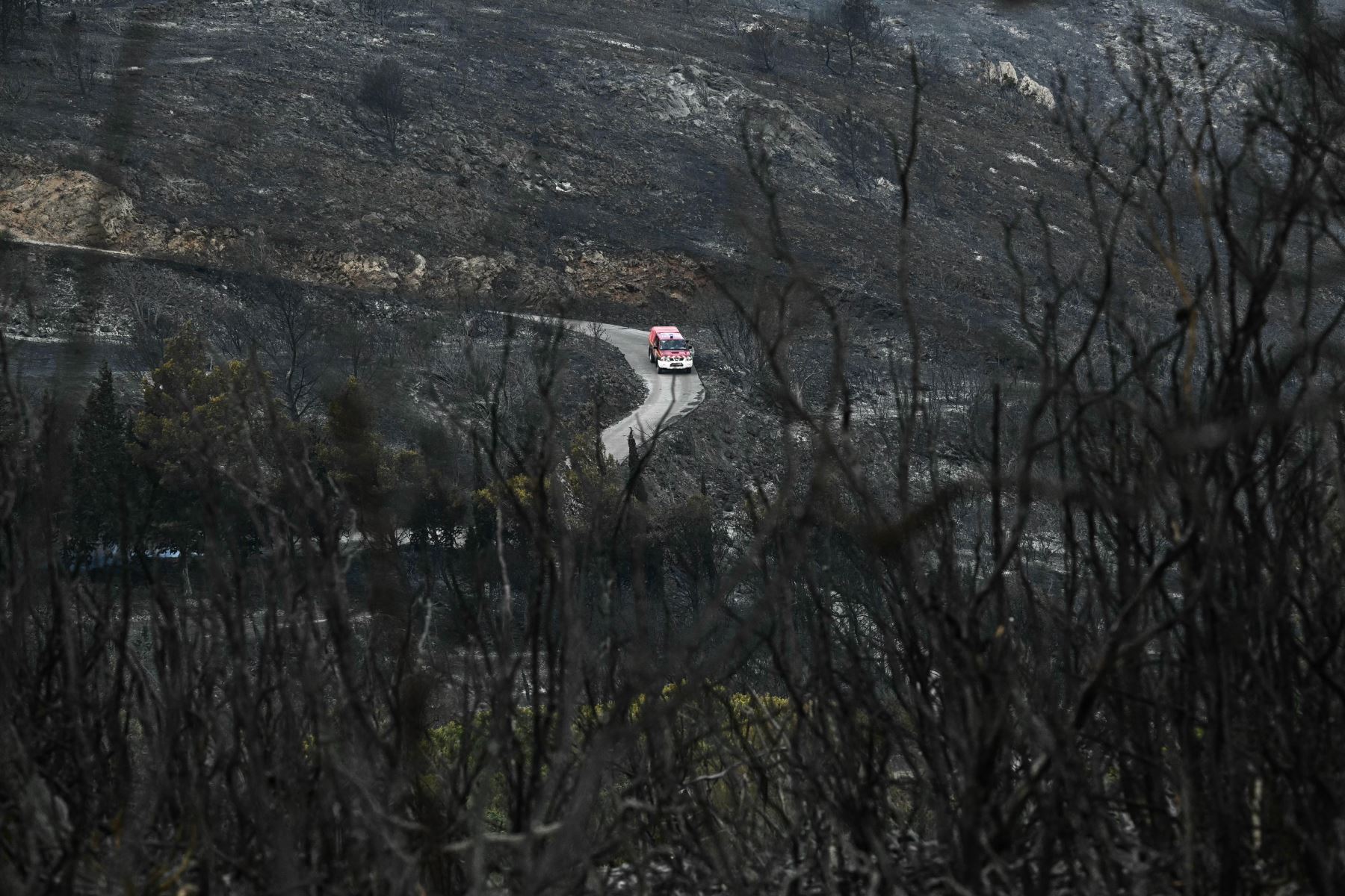 Un vehículo de bomberos circula por una zona devastada por un incendio forestal cerca de Fontjoncouse, en el suroeste de Francia. Un incendio forestal ha causado la muerte de una persona y herido a otras nueve, arrasando 11.000 hectáreas mientras los bomberos trabajan para contenerlo, según informaron las autoridades locales. 
Foto: AFP
