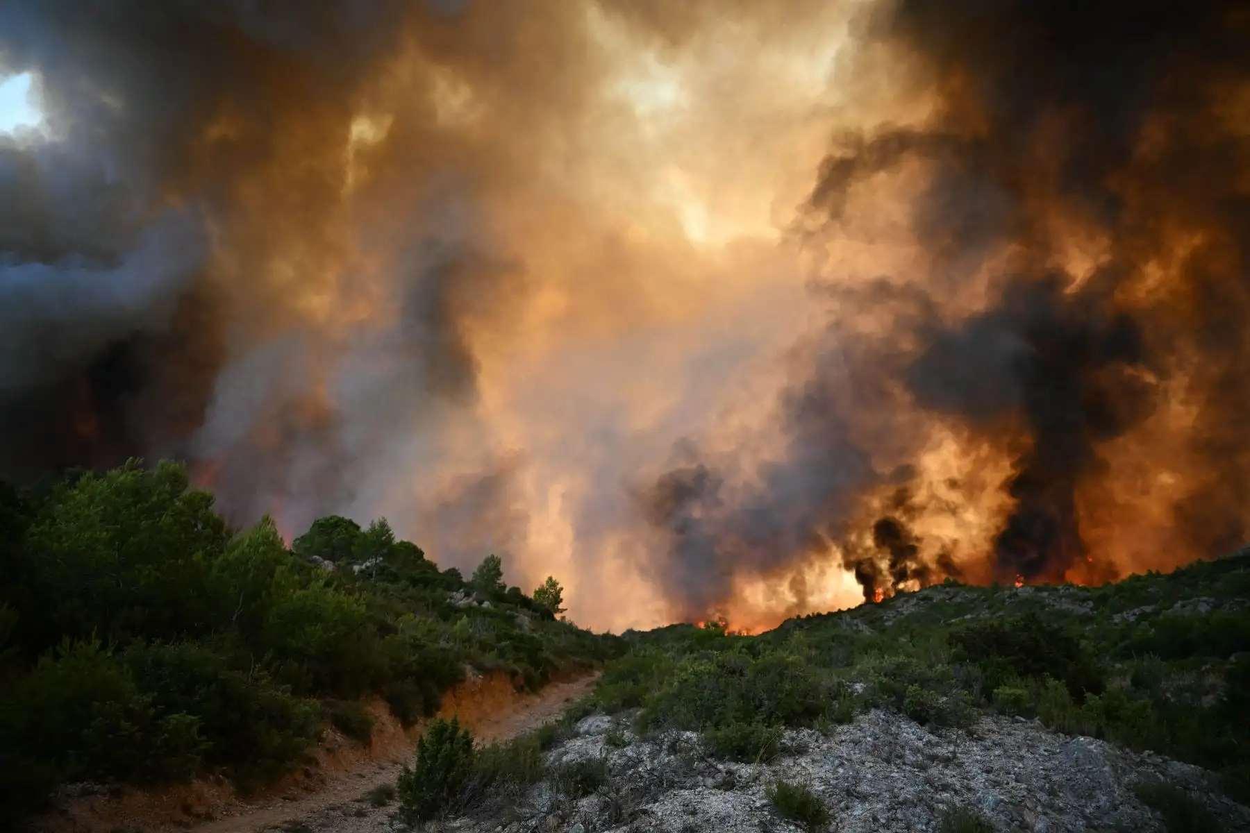 Un bosque está envuelto en llamas mientras un incendio forestal arrasa cerca de Fontjoncouse, en el suroeste de Francia. Un incendio forestal ha causado la muerte de una persona y herido a otras nueve, arrasando 11.000 hectáreas mientras los bomberos trabajan para contenerlo, según informaron las autoridades locales. 
Foto: AFP