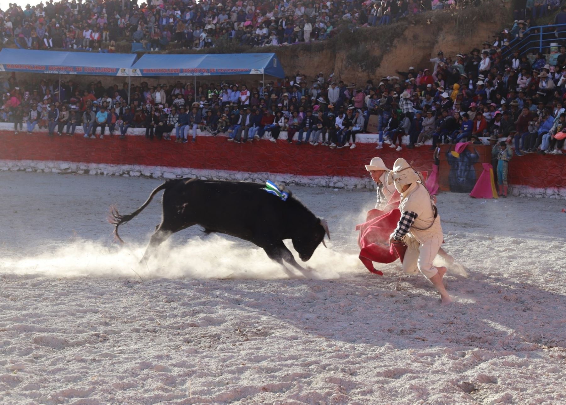 La acogedora ciudad de Coyllurqui, ubicada en la provincia apurimeña de Cotabambas, celebró la última versión del tradicional “Yawar Fiesta” en homenaje al aniversario patrio. ANDINA/Percy Hurtado Santillán