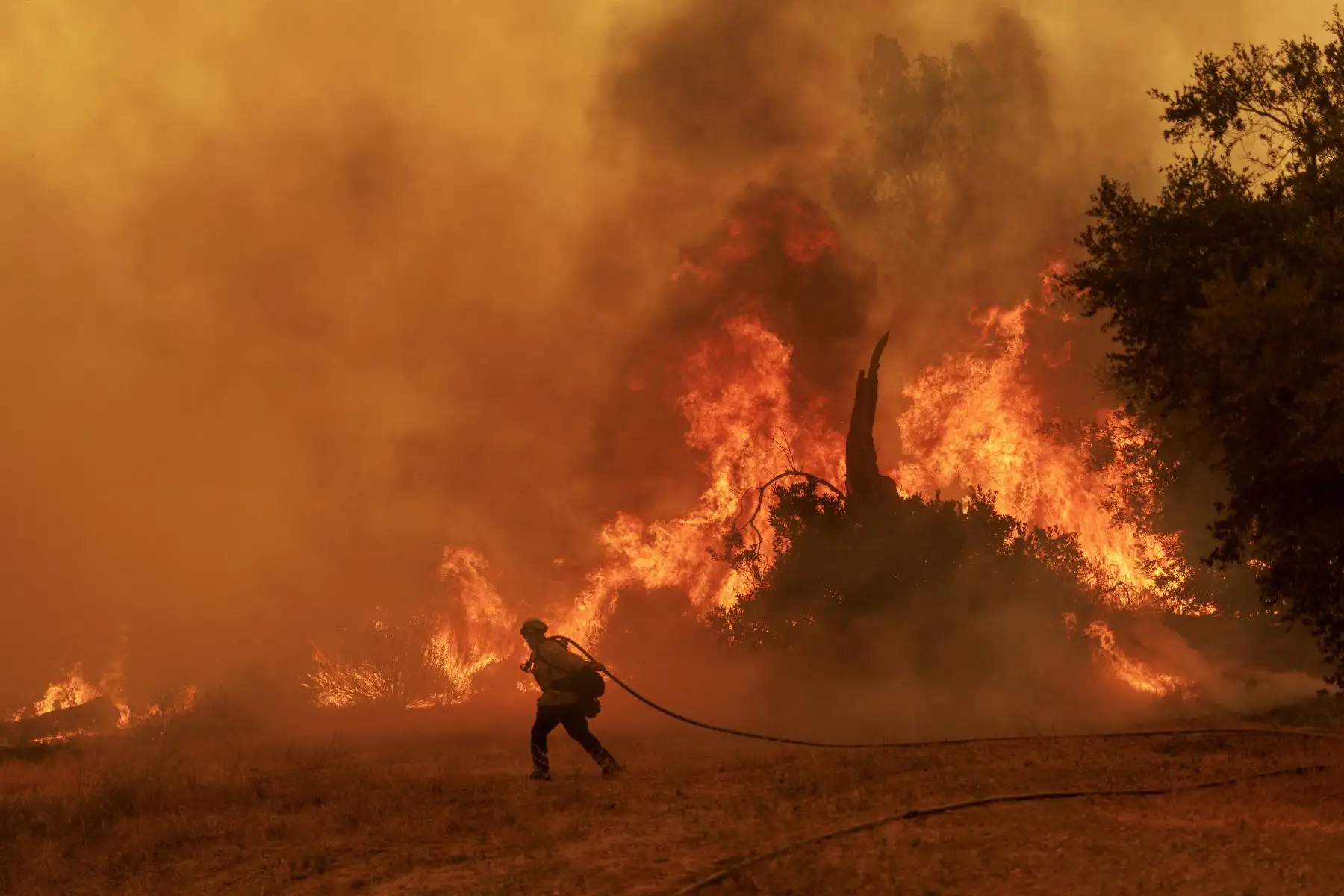 Los bomberos combaten las llamas del incendio en Canyon, que quemó la maleza, en Castaic, California. Foto: AFP