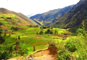 Área de conservación regional de Chonta, ubicada en el departamento de Huánuco. ANDINA/Difusión