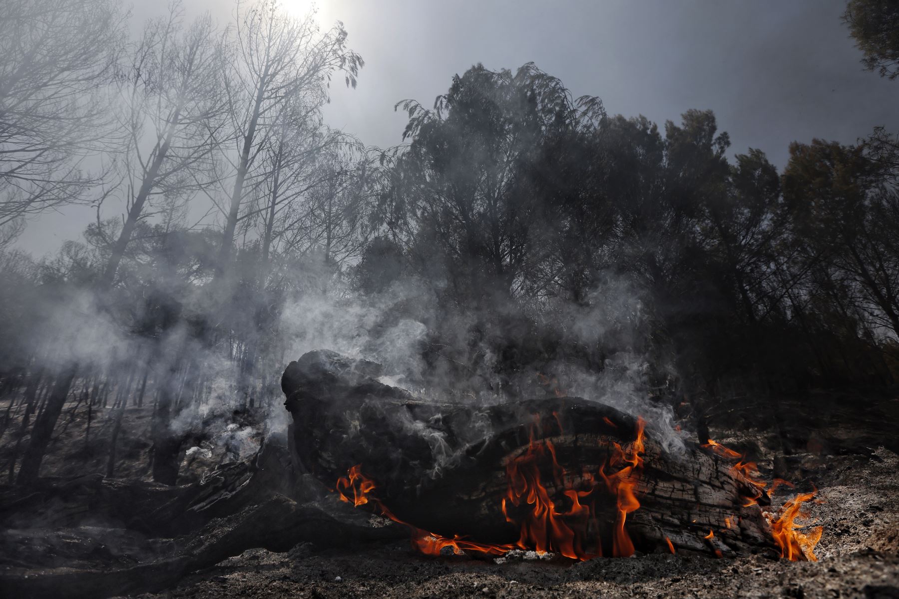 Área afectada por el incendio que desde el sábado a la noche se mantiene activo en un paraje forestal de la localidad navarra de Carcastillo.
Foto: EFE