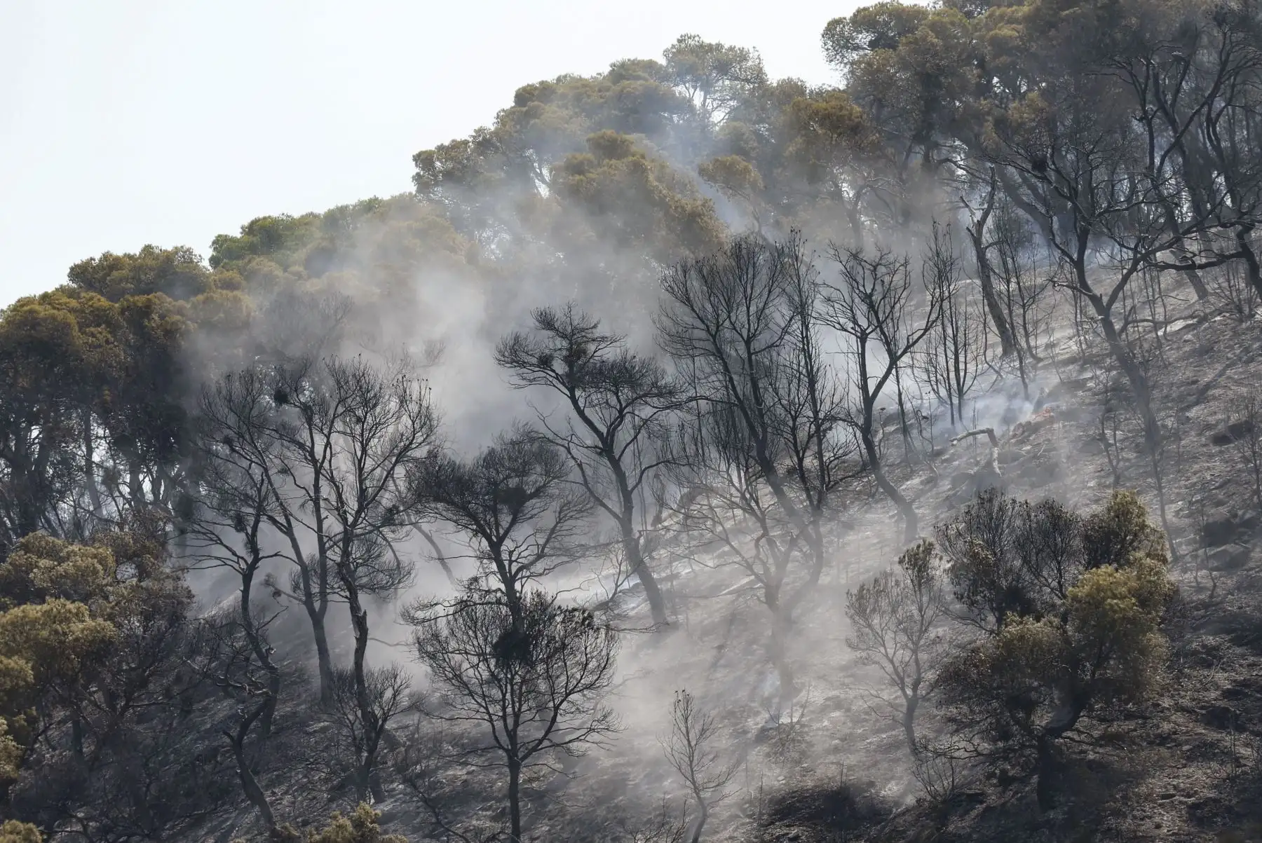 Área afectada por el incendio que desde el sábado a la noche se mantiene activo en un paraje forestal de la localidad navarra de Carcastillo, que sigue sin estar perimetrado, una tarea que se ve dificultada por las extremas temperaturas, bajo nivel de humedad y riesgo de tormenta seca. 
Foto: EFE