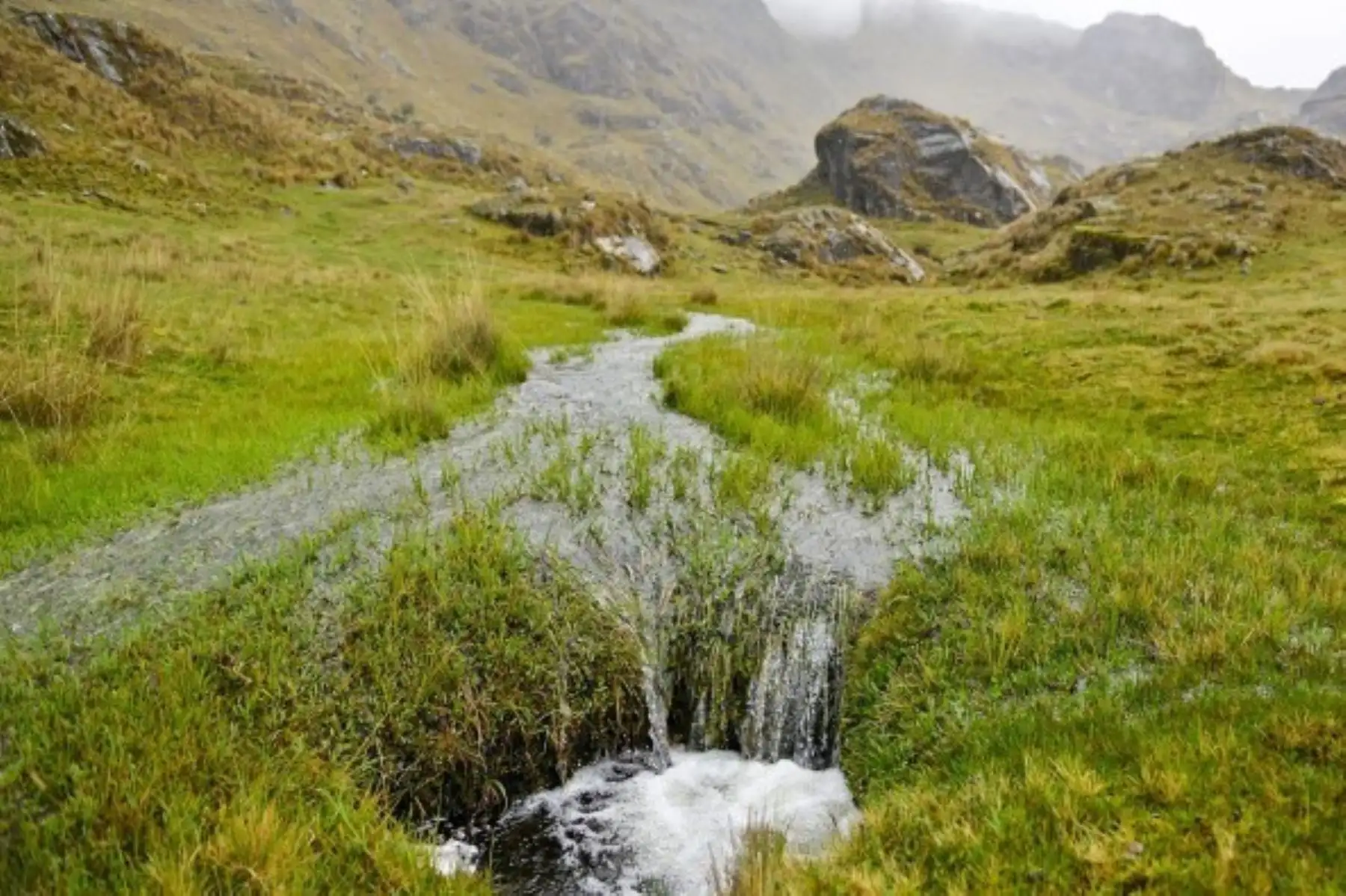 Ministerio del Ambiente impulsa el proyecto Patrimonio Natural del Perú Andes. Foto: MINAM/Difusión.
