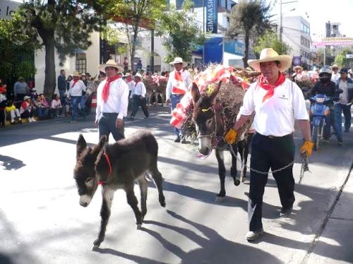 La tradicional entrada de ccapo a la plaza de Armas de la ciudad de Arequipa se realizará este jueves 14 de agosto, en la víspera del aniversario 485.° de la ciudad blanca. ANDINA/Difusión