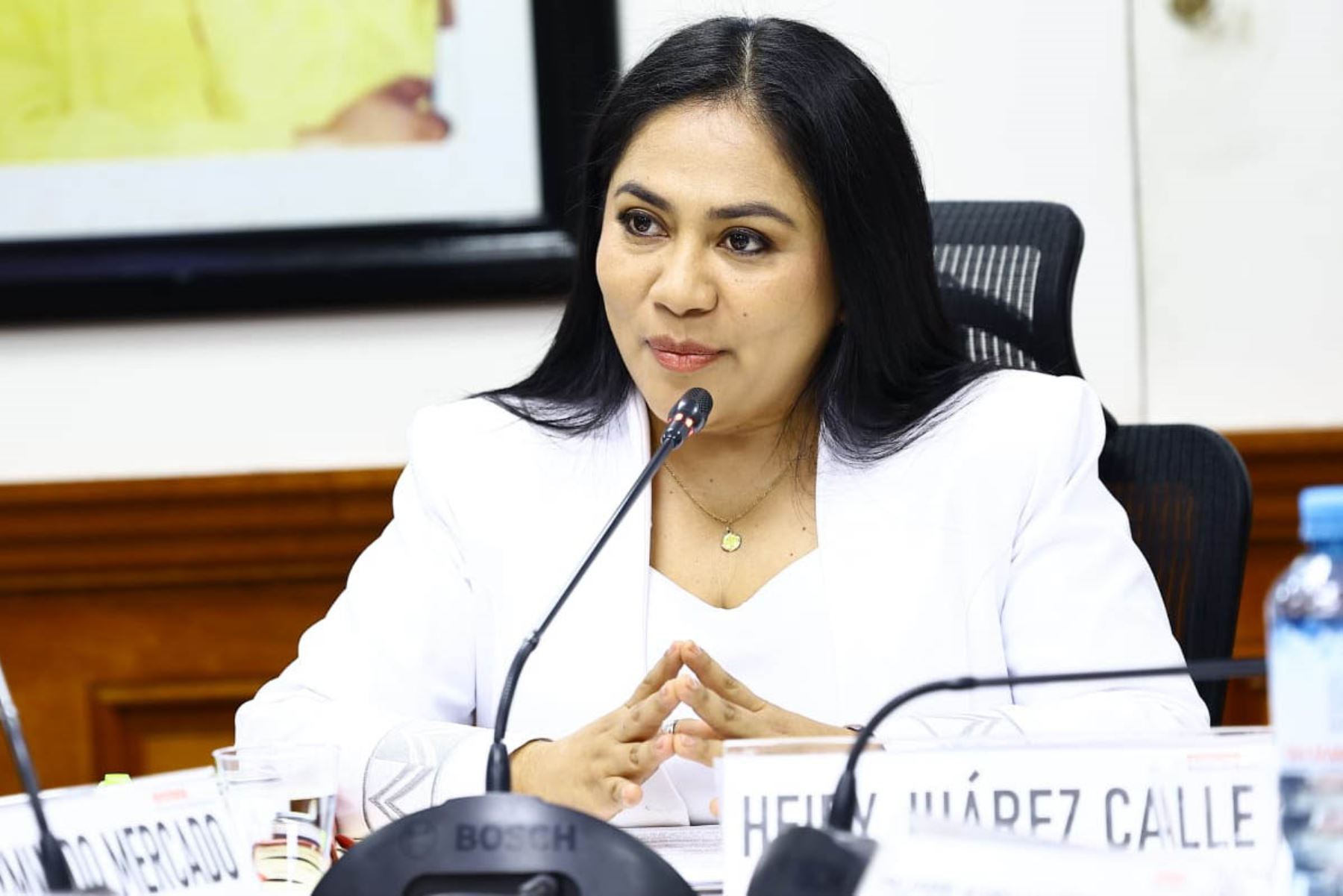 Foto: ANDINA/difusión.