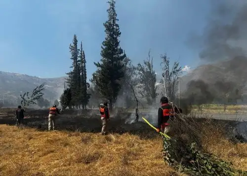 Áncash en alerta por el incremento de incendios forestales registrado en las últimas semanas. A pesar de ello la cifra global en lo que va de 2025 es bastante menor a la registrada en 2024. ANDINA/Difusión