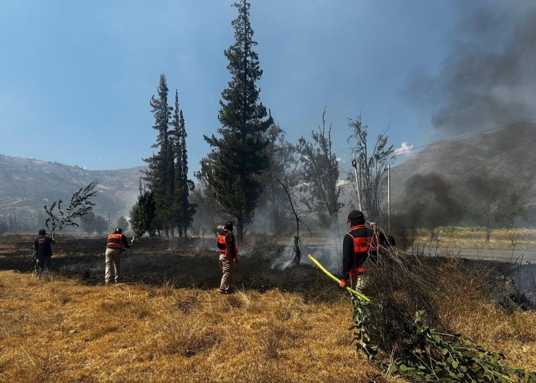 Áncash en alerta por el incremento de incendios forestales registrado en las últimas semanas. A pesar de ello la cifra global en lo que va de 2025 es bastante menor a la registrada en 2024. ANDINA/Difusión