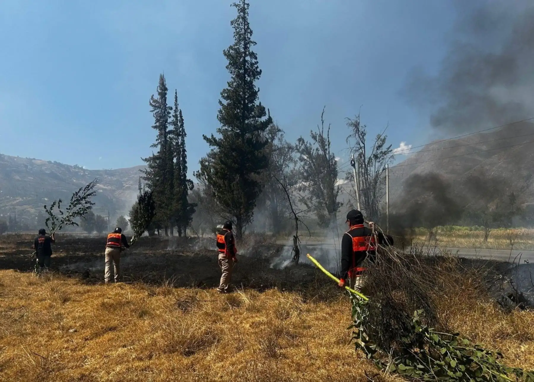 Áncash en alerta por el incremento de incendios forestales registrado en las últimas semanas. A pesar de ello la cifra global en lo que va de 2025 es bastante menor a la registrada en 2024. ANDINA/Difusión