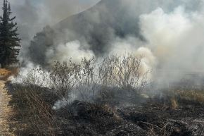 Un total de 475 incendios forestales se han registrado en lo que va del 2025, informó el Indeci. ANDINA/Difusión