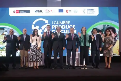 Foto: ANDINA/Vidal Tarqui.