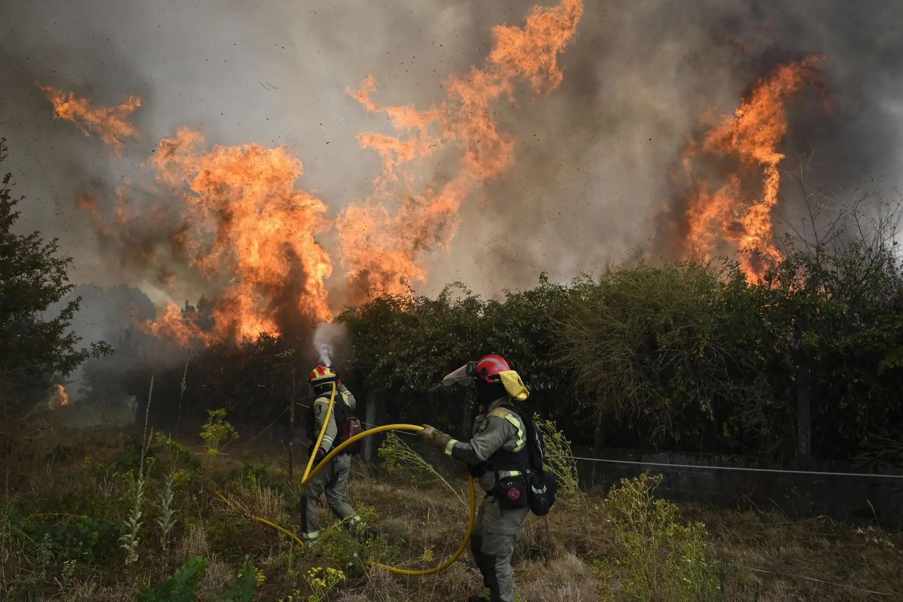 Bomberos trabajaban para extinguir un incendio forestal en San Cibrao das Vias, a las afueras de Ourense, noroeste de España Foto: AFP
