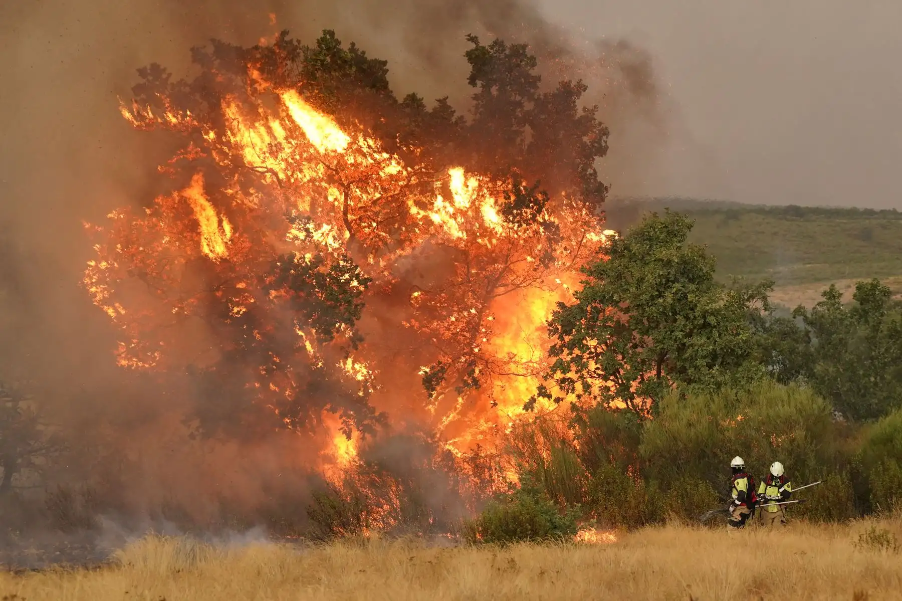 Un hombre murió por quemaduras y miles de personas se vieron obligadas a evacuar mientras los incendios forestales arrasaban partes de España ayer, alimentados por fuertes vientos y una ola de calor abrasadora que ha azotado al país durante 10 días. AFP
