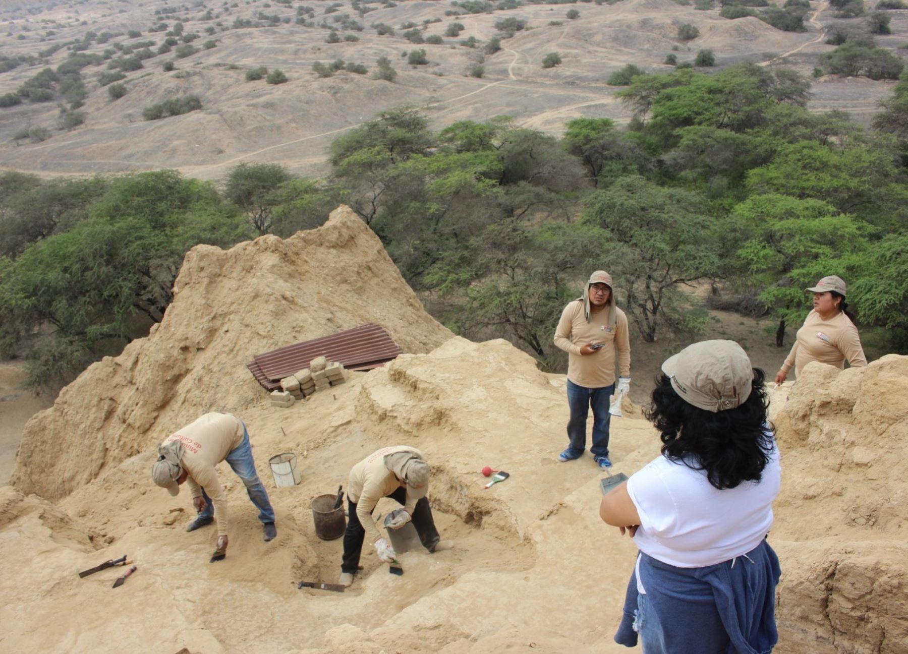 Investigadores hallaron cinco nuevos fardos funerarios, asociados con cerámica fina y estructuras arquitectónicas, en las huacas Las Abejas y Los Gavilanes ubicados en el Complejo Arqueológico de Túcume, en la región Lambayeque. ANDINA/Difusión
