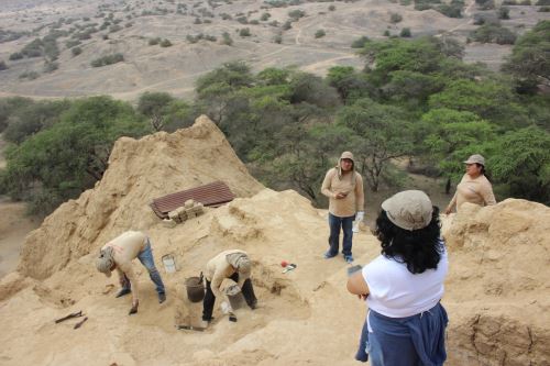 Descubren 5 nuevos fardos funerarios en el sitio arqueológico Túcume