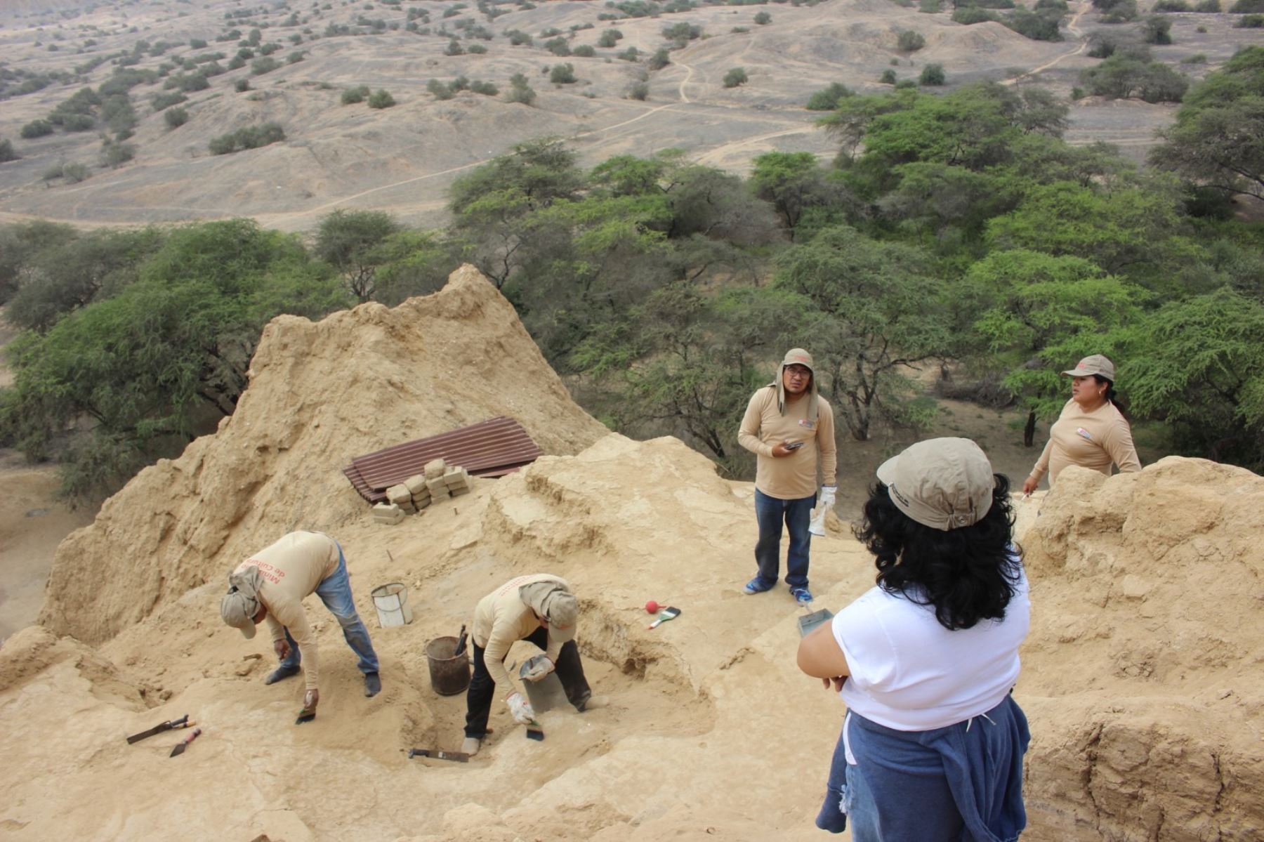 Cinco nuevos fardos funerarios, asociados con cerámica fina y estructuras arquitectónicas que formarían parte de un cementerio de élite de la época inca, fueron descubiertos en las huacas Las Abejas y Los Gavilanes que forman parte del Complejo Arqueológico de Túcume, ubicado en la región Lambayeque. Foto: Difusión