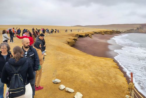 La Playa Roja se ha convertido en el atractivo favorito de los turistas que visitan la Reserva Nacional de Paracas, uno de los principales destinos de los miles de viajeros que visitan esta área natural protegida. Foto: Genry Bautista