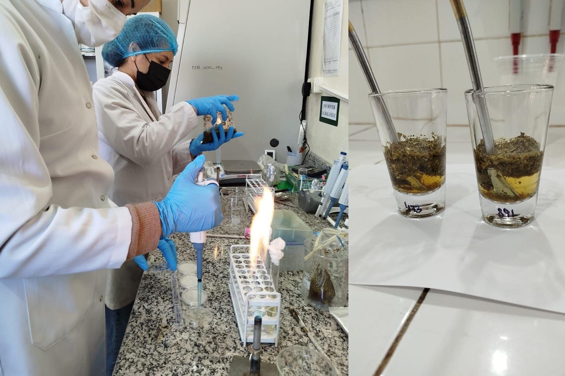 El último 14 de agosto, en el laboratorio de Biología Molecular de la Facultad de Ciencias y Tecnología de la Universidad Nacional de Itapúa, se realizó la cata de la yerba mate que superó los 30 km de altura.