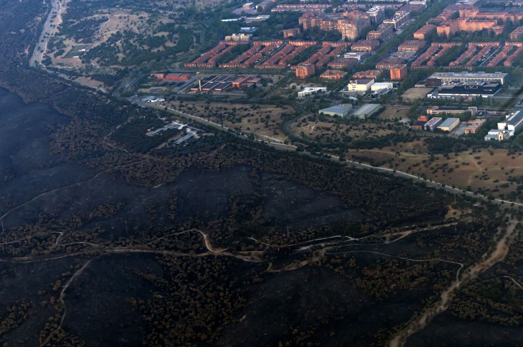 Zona arrasada por un incendio forestal  en Tres Cantos, cerca de Madrid. Toda España se encontraba hoy en alerta por ola de calor, mientras que la agencia meteorológica advirtió que gran parte del país se encontraba en "riesgo muy alto a extremo" de incendios forestales.  Foto: AFP
