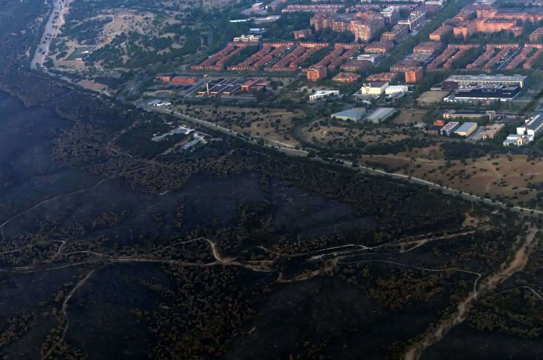 Zona arrasada por un incendio forestal  en Tres Cantos, cerca de Madrid. Toda España se encontraba hoy en alerta por ola de calor, mientras que la agencia meteorológica advirtió que gran parte del país se encontraba en "riesgo muy alto a extremo" de incendios forestales.  Foto: AFP