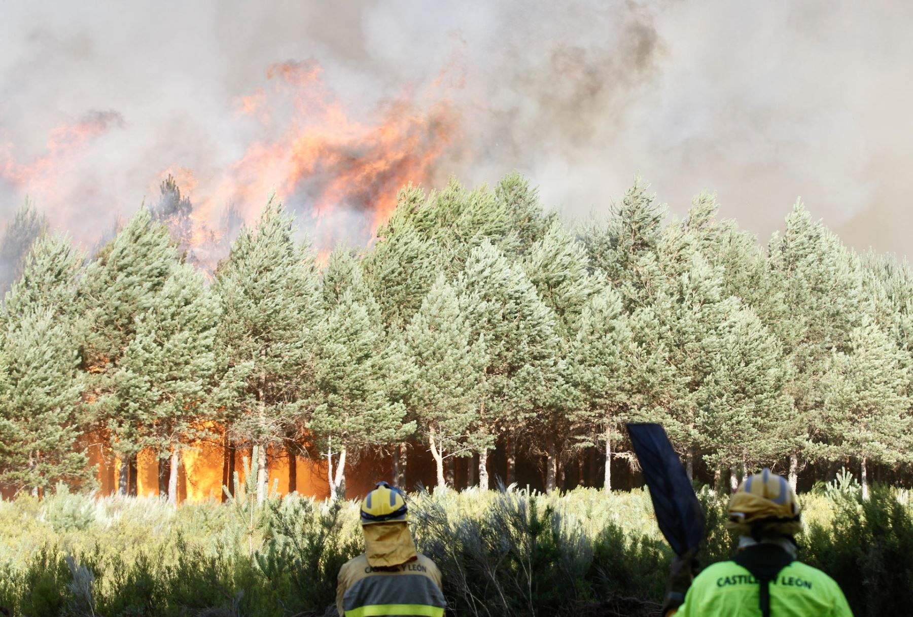 Los brigadistas intentan contener por segundo día el incendio en la zona limítrofe entre Ourense y Zamora. Foto: EFE