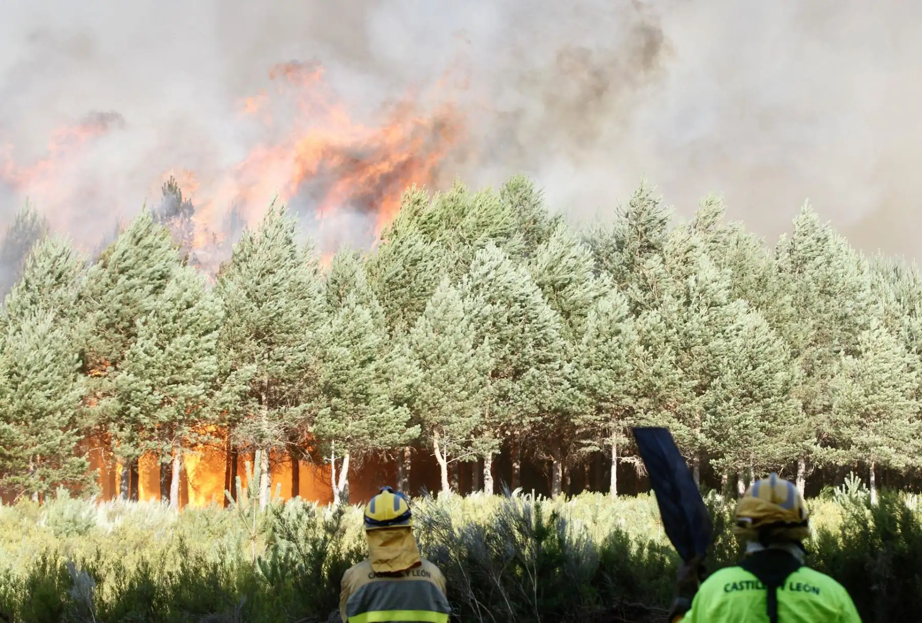 Los brigadistas intentan contener por segundo día el incendio en la zona limítrofe entre Ourense y Zamora. Foto: EFE