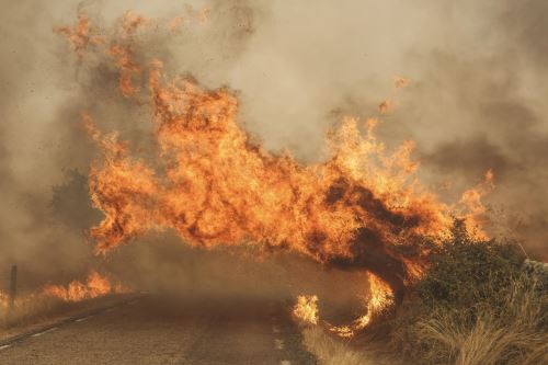 Devastador fuego consume miles de hectáreas en España, dejando costes humanos y materiales que afectan a numerosos sectores