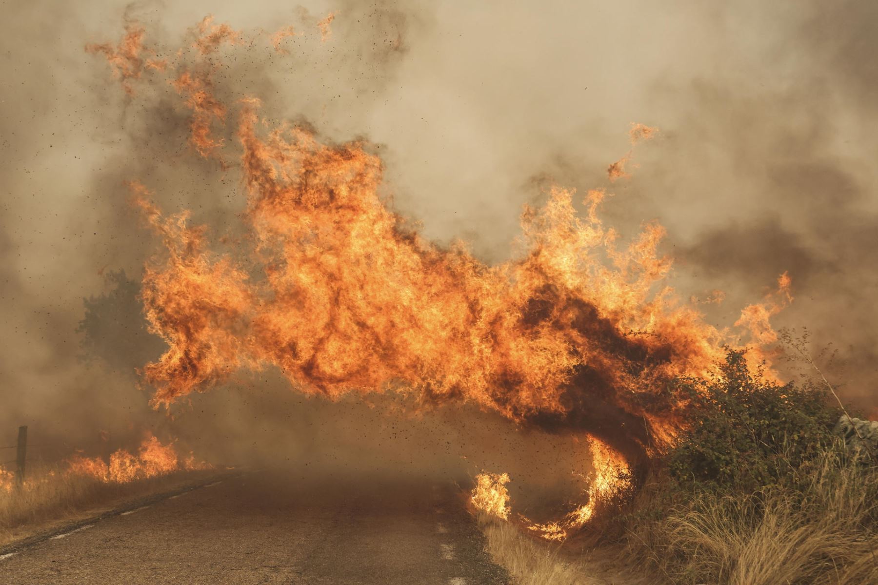 El fuego cruza una carretera por el incendio forestal este viernes, en las proximidades de Cipérez (Salamanca). EFE