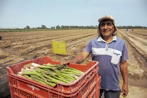 Photo: Ministry of Agrarian Development and Irrigation of Peru