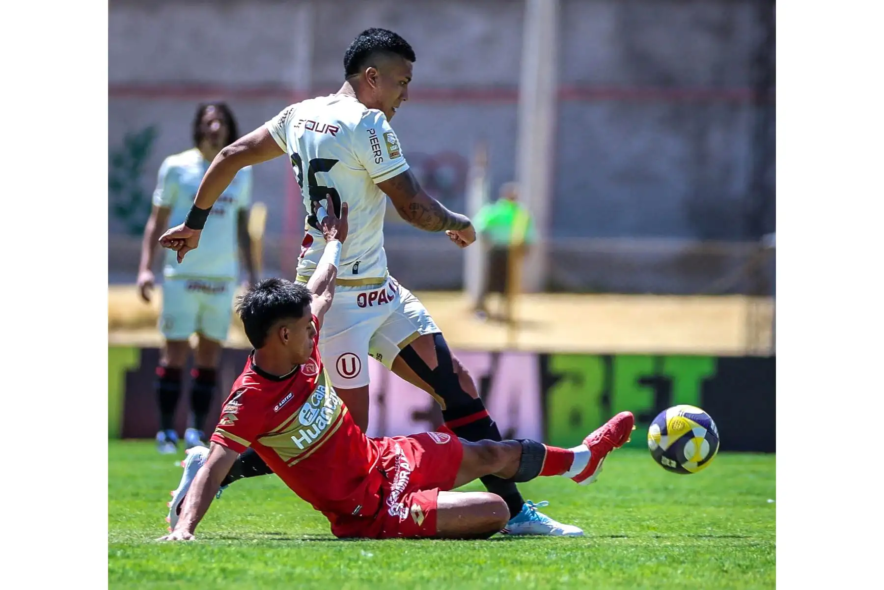 Universitario se enfrenta a Sport Huancayo por la fecha 6 del Torneo Clausura de la Liga 1 en el Estadio IPD de Huancayo.
Foto: Liga 1